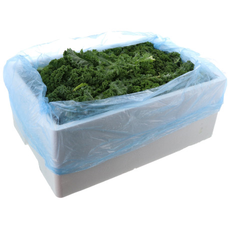 CHOU CURLY KALE VERT GLACE 5KG